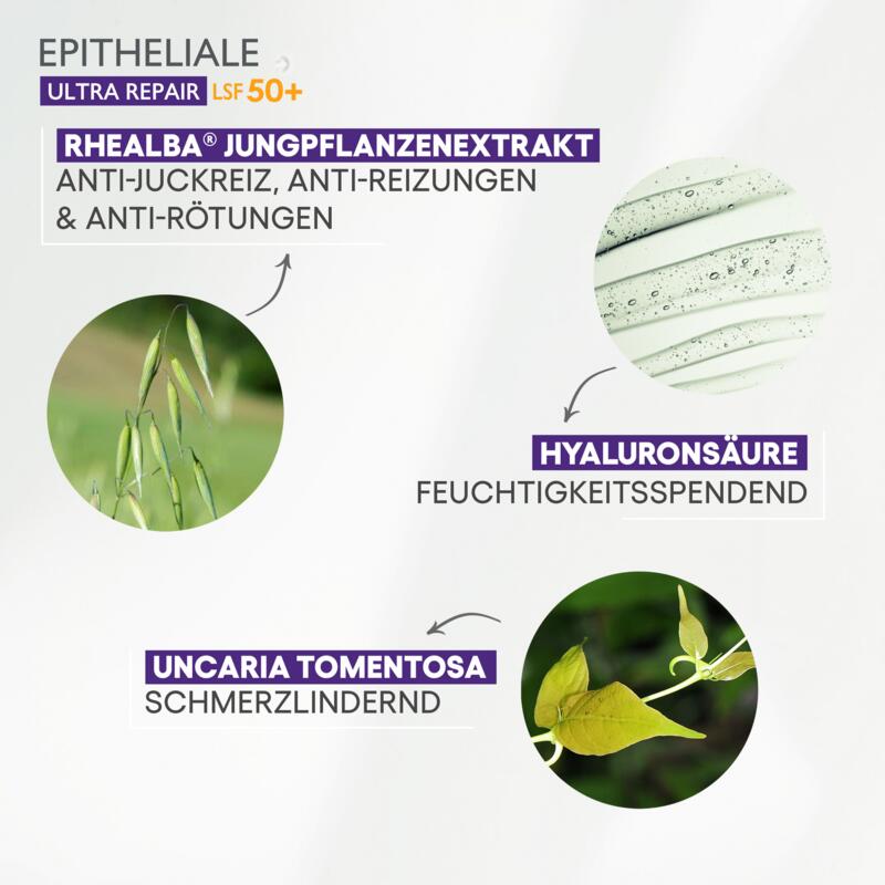 Beruhigende Regenerierende Creme LSF 50+ 