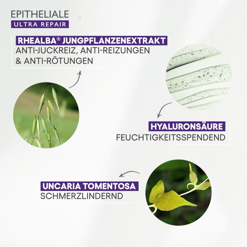 Beruhigende Regenerierende Creme 