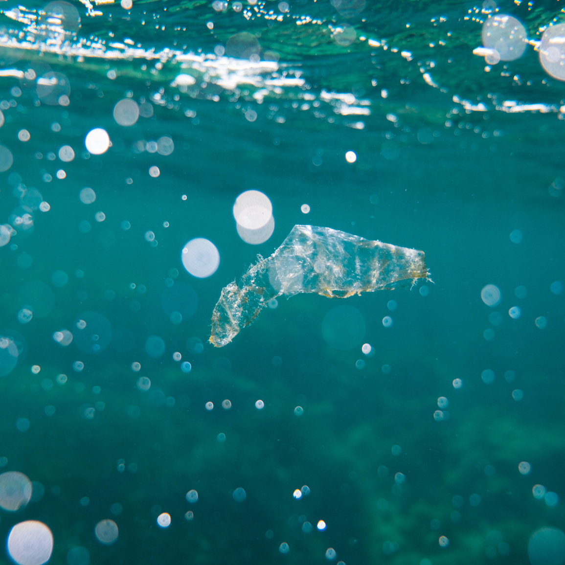 av_solaires_ingredients-toxiques_plastique_ocean_1x1  1620x1620