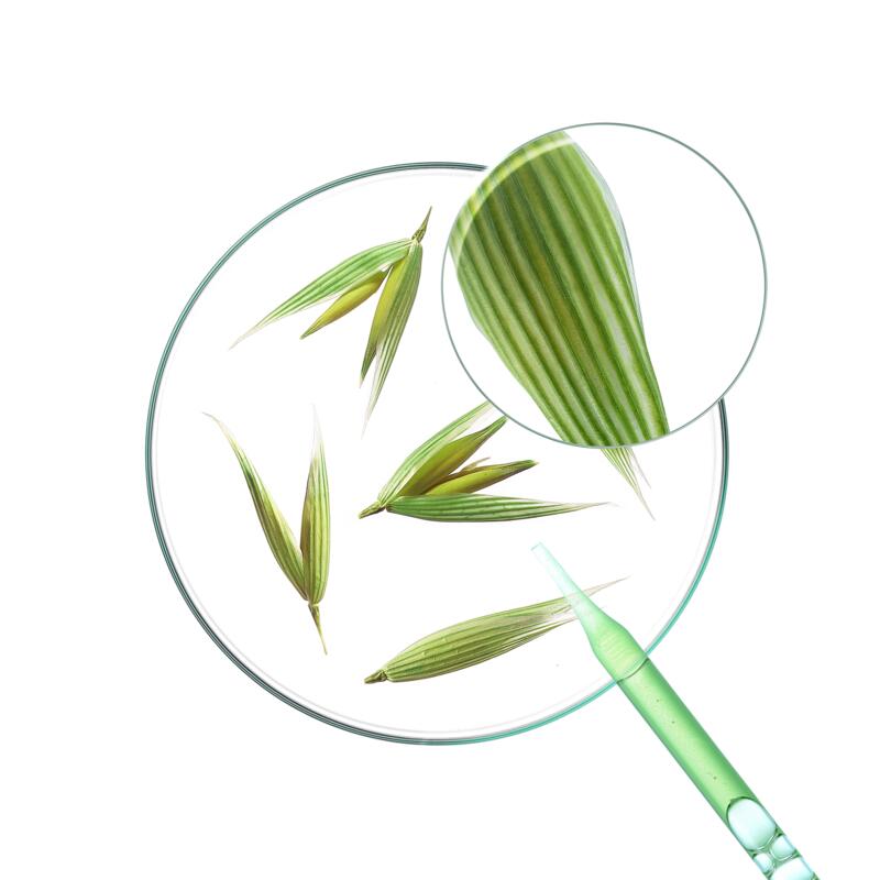 EXTRA-DOUX Shampoing sec enrichi en Céramideᴸᴵᴷᴱ