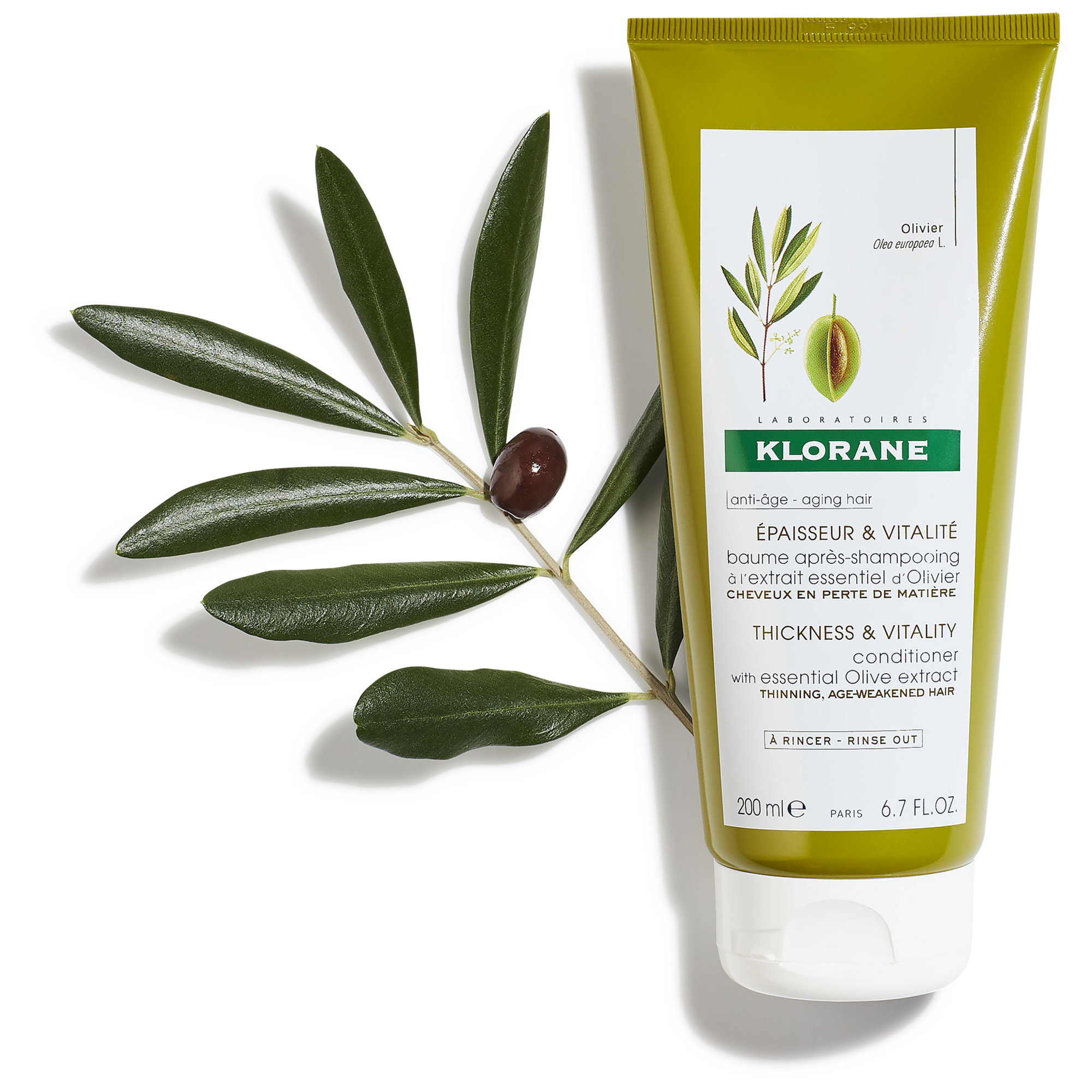 KL_Olive_Hair_Conditioner_Packshot_200ml_CMYB_PRINT_WEBSITE_Active-Ingredient_3282770075083