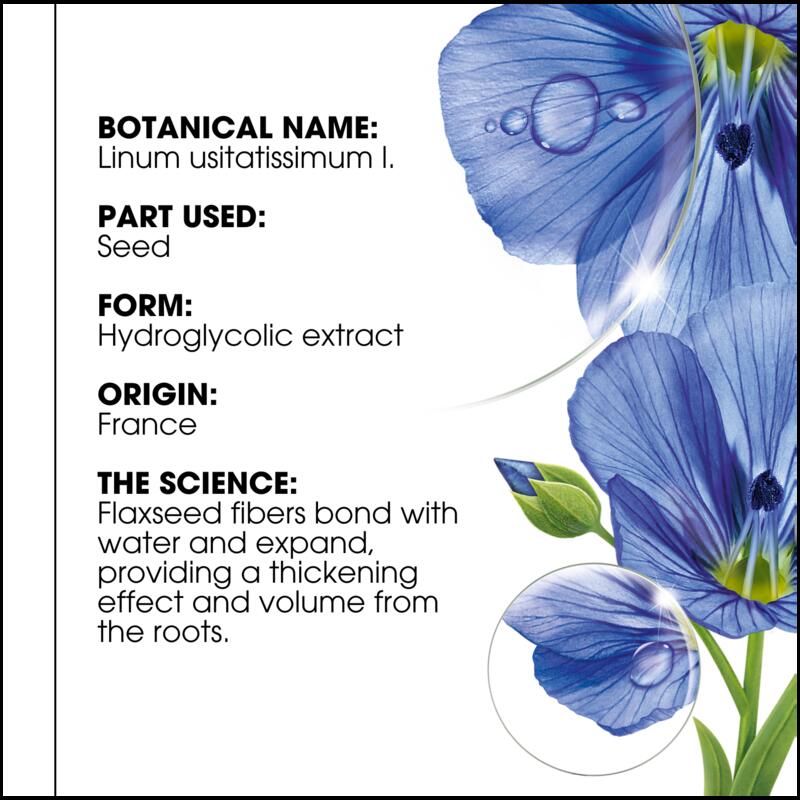 VOLUMISING DRY SHAMPOO WITH ORGANIC FLAX