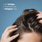 Talgabsorbierendes Shampoo