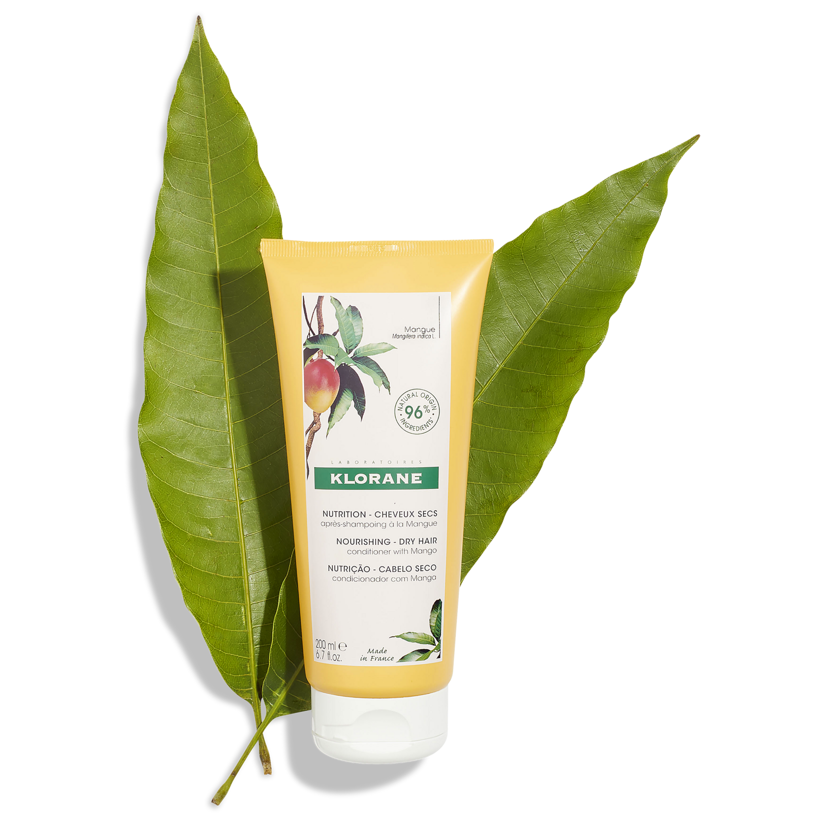 Balsamo-al-Mango