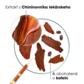 Šampón s chinínom a BIO plesnivcom alpským