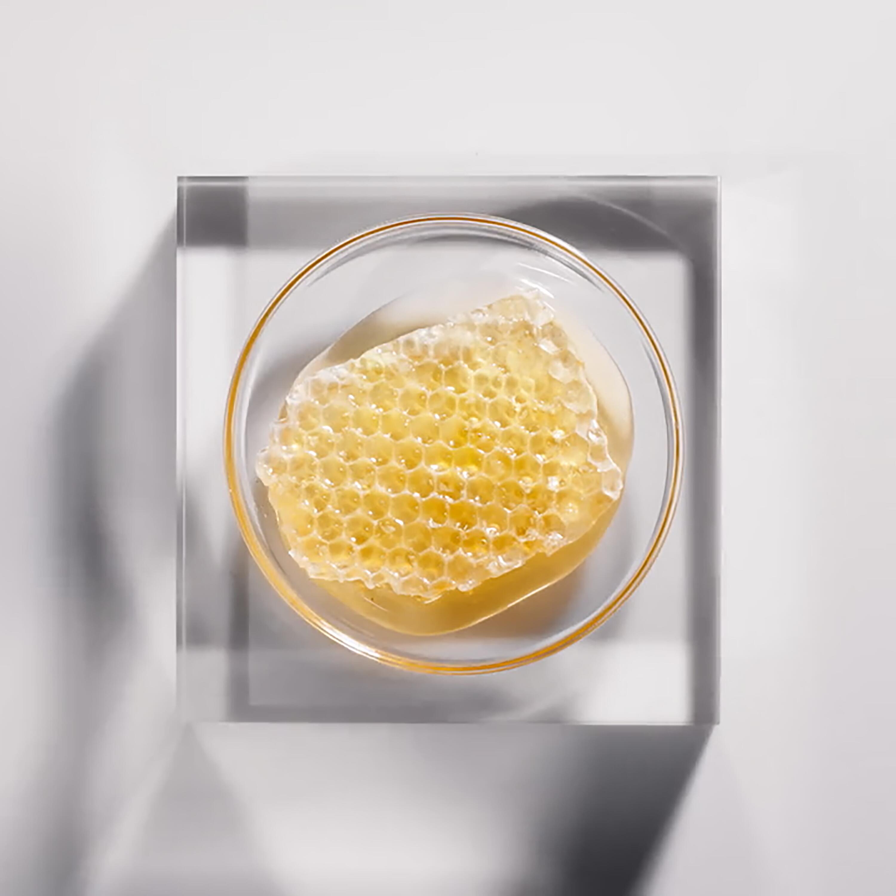 RF_Triphasic-reactional_Active_Ingredient-Propolis_Website_24