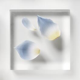 Lotus-Mineral-Complex™
