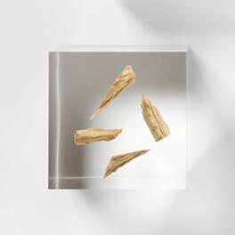 Extrait-de-Pfaffia-(ginseng-brésilien)