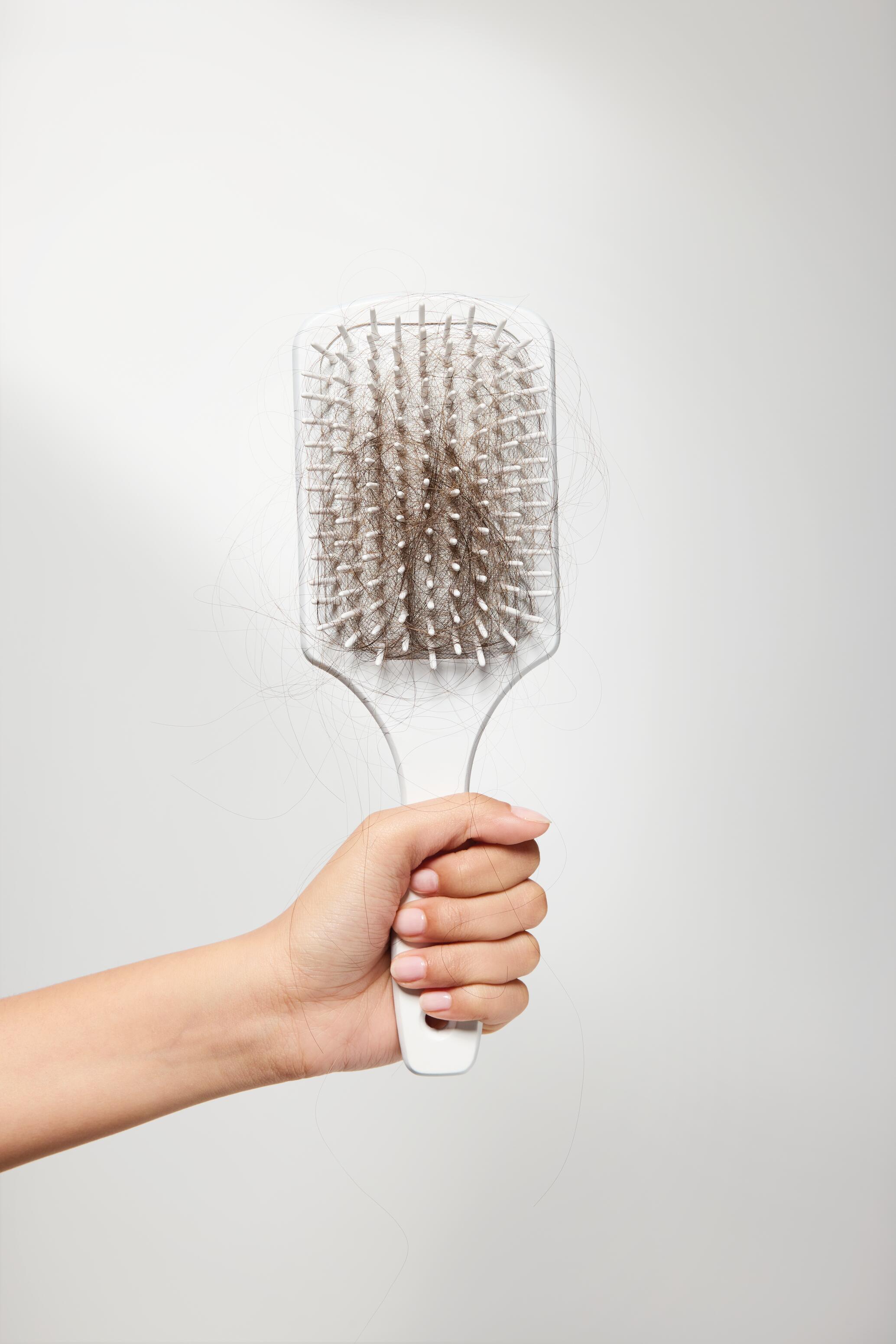 RF_Triphasic-Reactional_Pathology_Hair-Brush-Before_24_CMYK