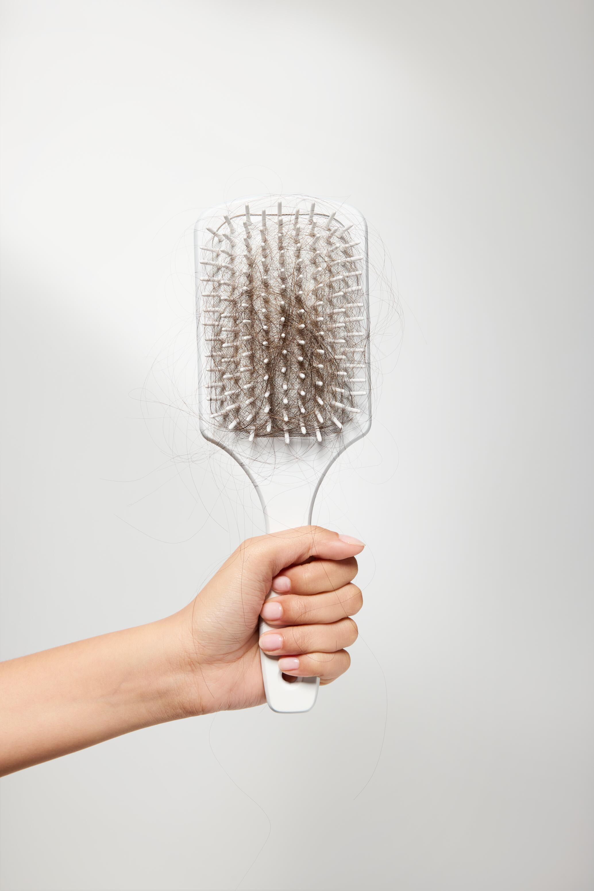 RF_Triphasic-Reactional_Pathology_Hair-Brush-Before_24_RGB