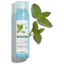 Hair care routine Shampoo with ORGANIC Mint 