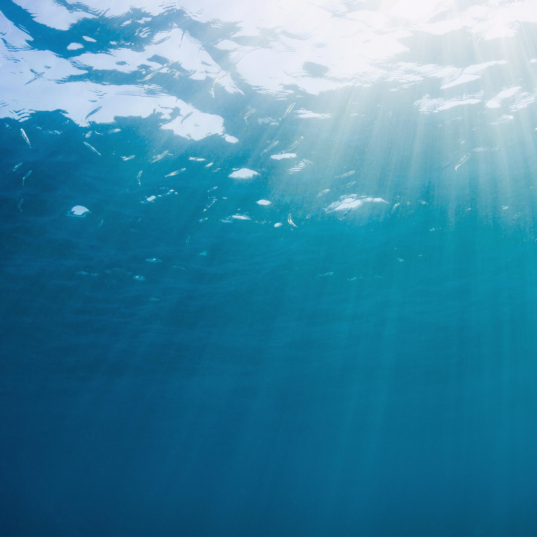 av_solaires_oceans_1x1 1620x1620