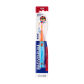 Gekleurde borstelharen voor het doseren van tandpasta. Slipvaste steel.