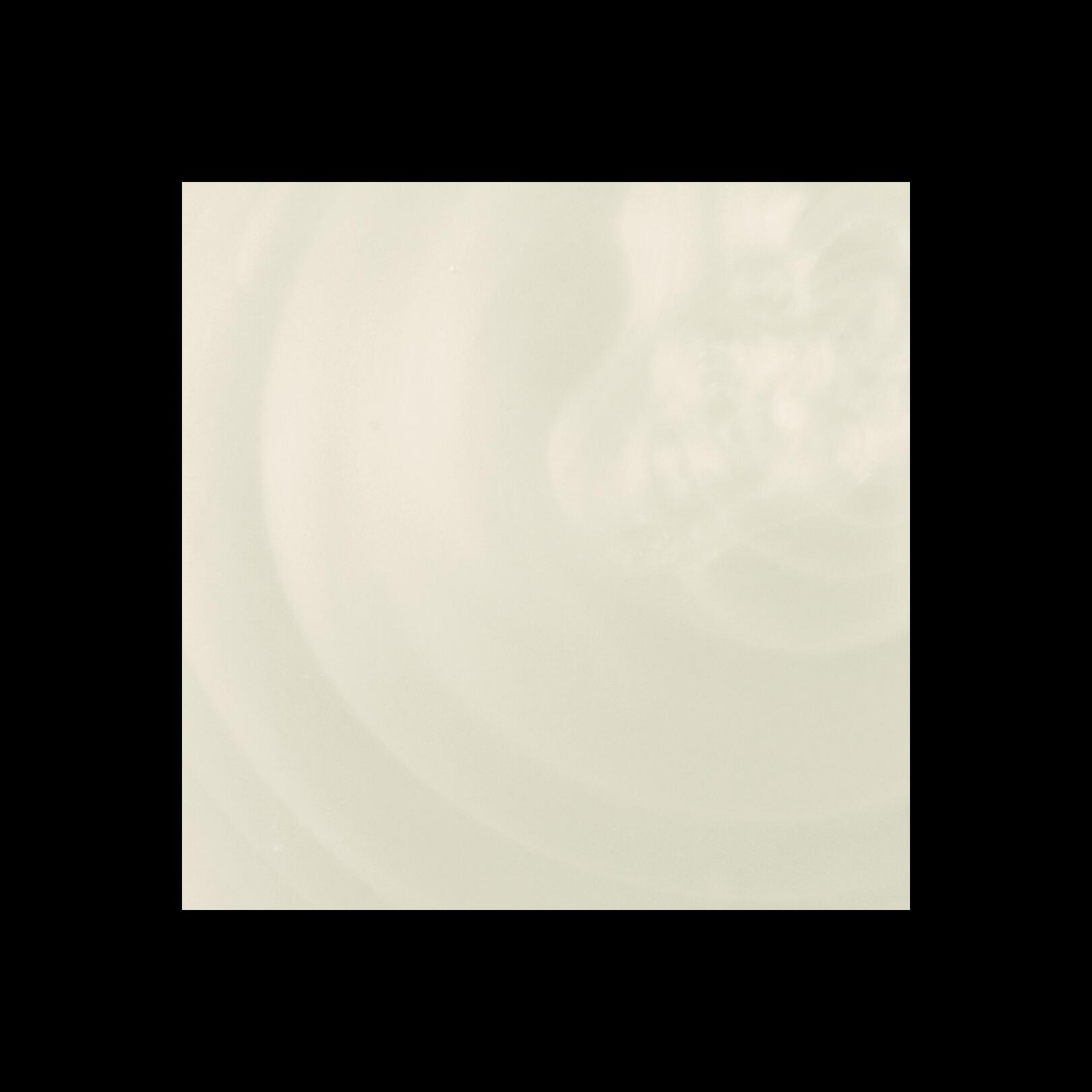 Lightness Regulating Shampoo