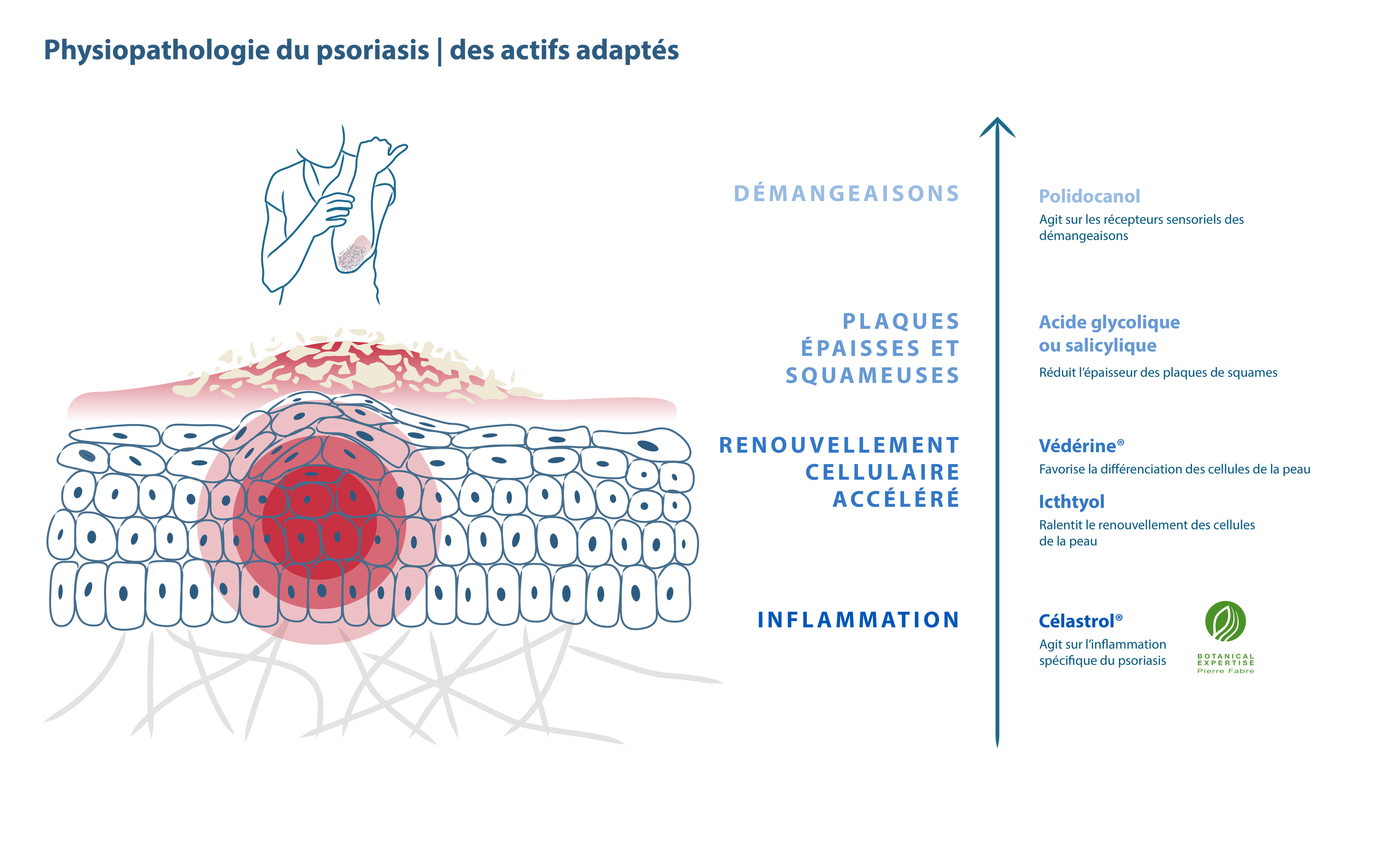 DU_KERTYOL-PSO_EXPERTISE-VISUAL_09-2022