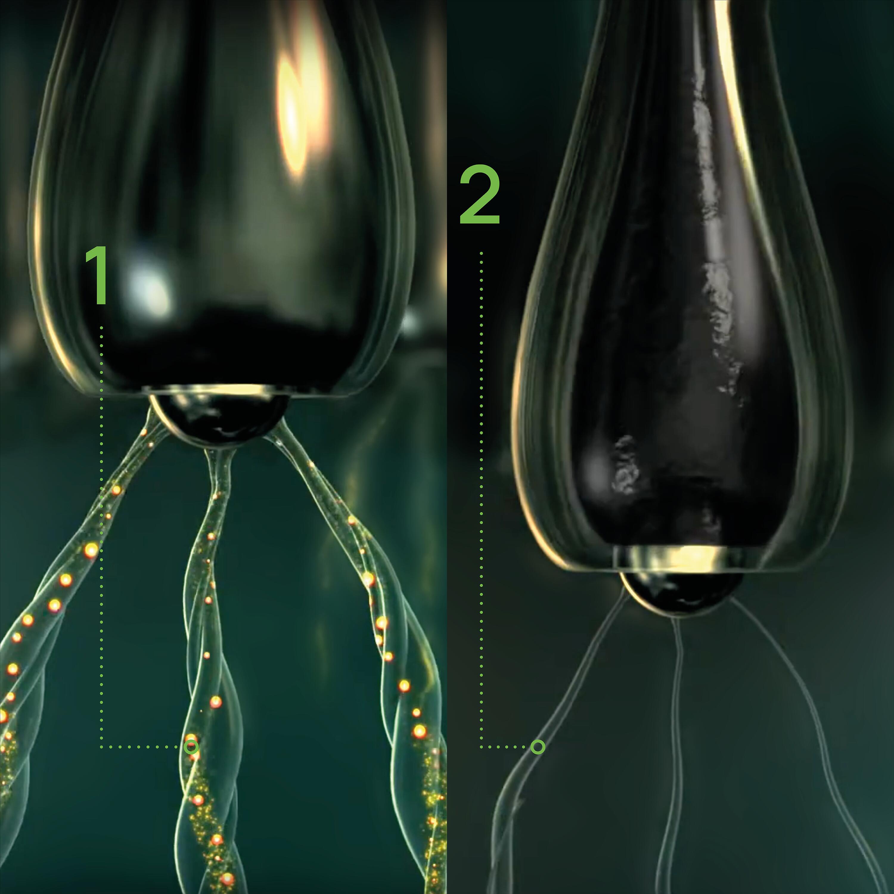 RF_Triphasic_Nutrition-bulbe-capillaire_Website__24-jpg
