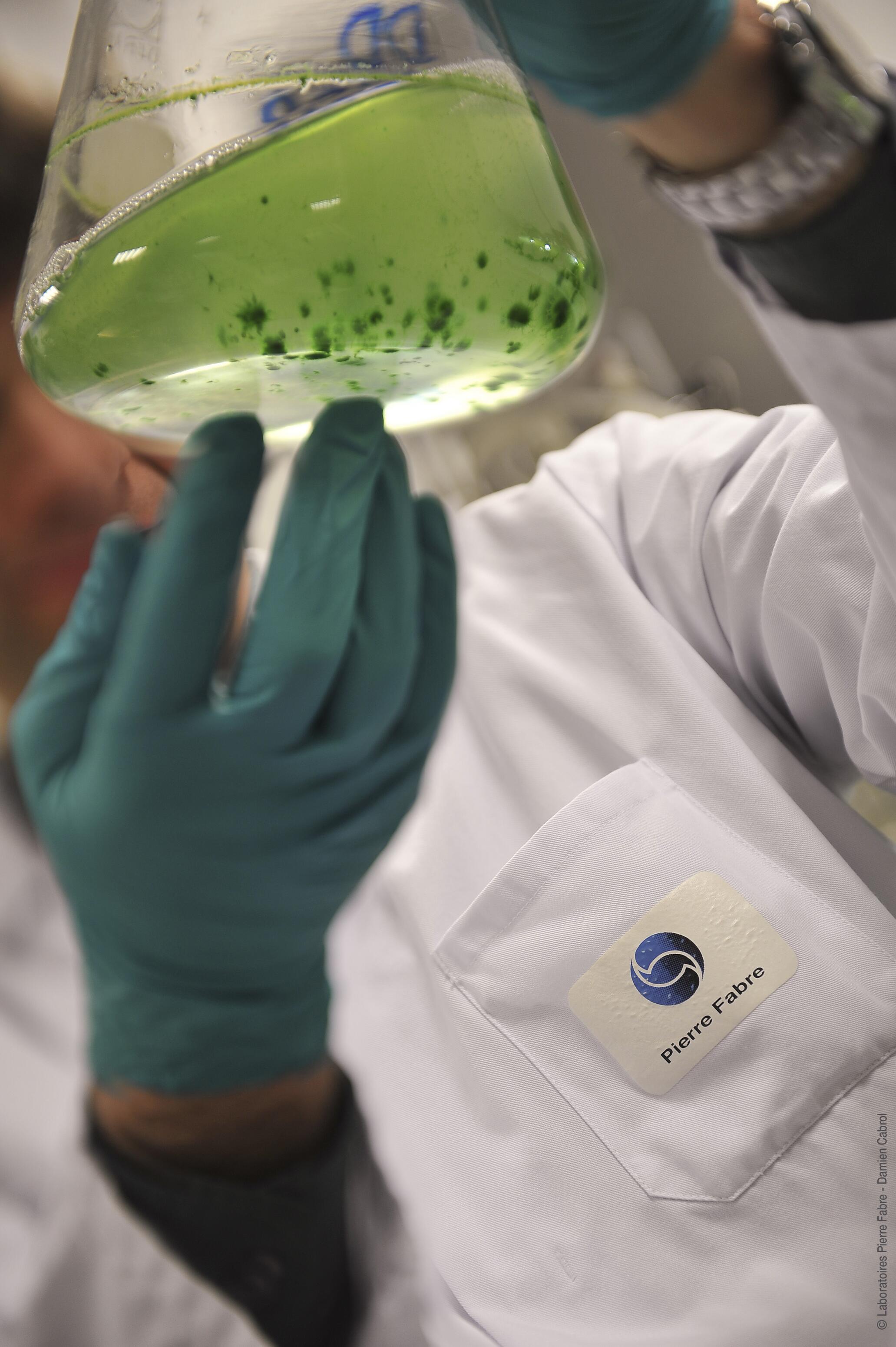 md_dexeryl_website-pf-group-photo3_kit-comm