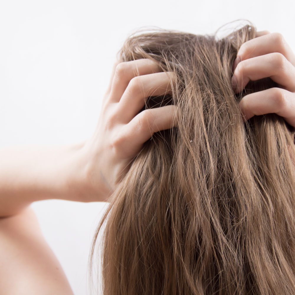 kl_quinine_haircare_semantic-cocoon_hairloss_stress-1_1-1