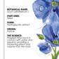Volumising Shampoo with Organic Flax - Fine, flat hair