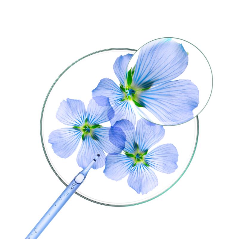 VOLUME Omhullende en volumegevende shampoo